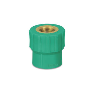Female Socket